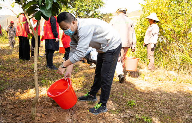 植树活动 植树活动.png